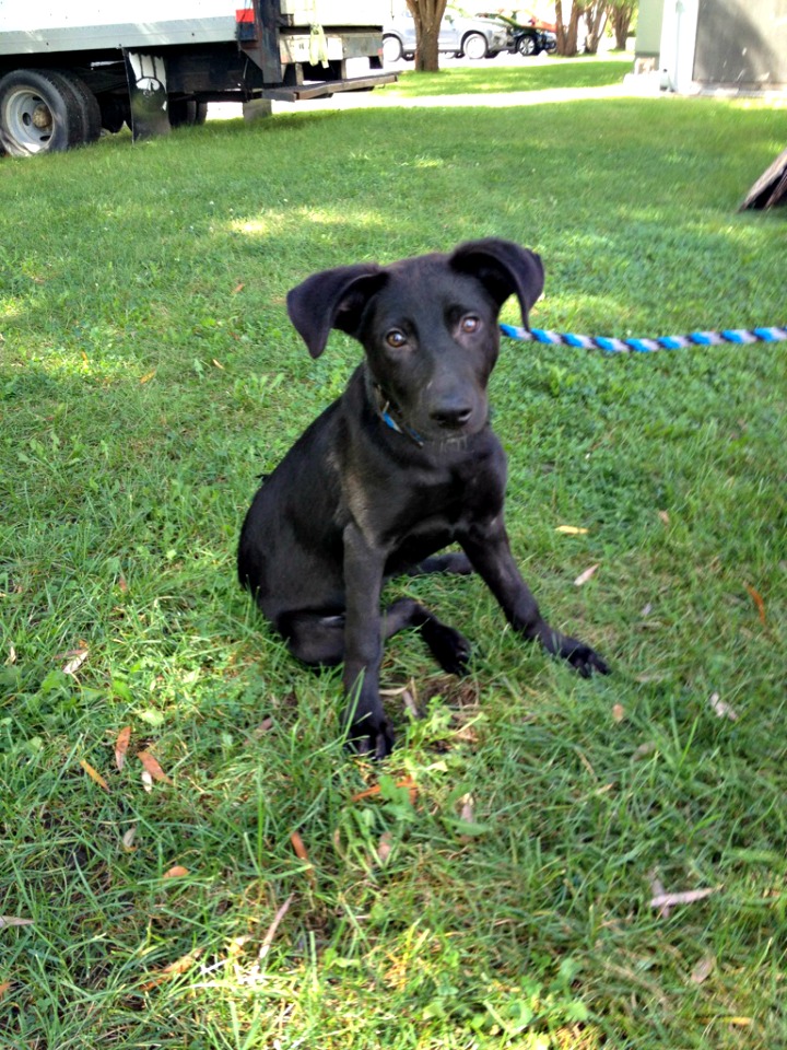 21542963792_9522b26bb2_o