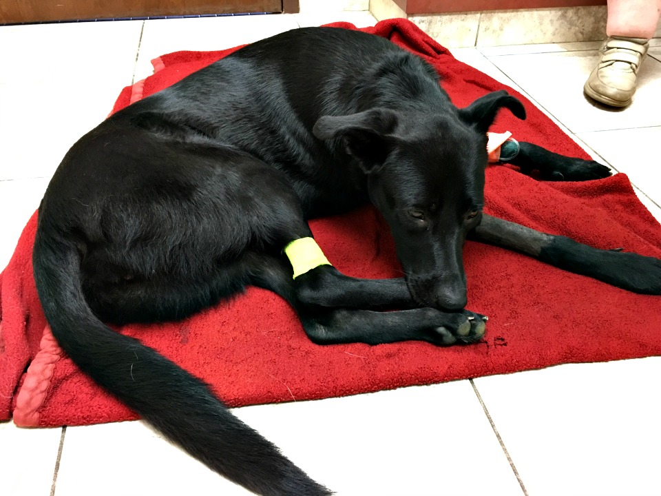 30914359606_019bf9421e_o