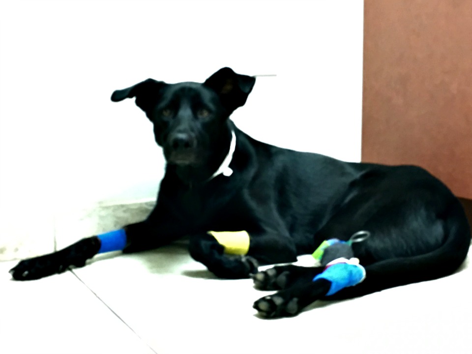 30997555025_2184d7864f_o