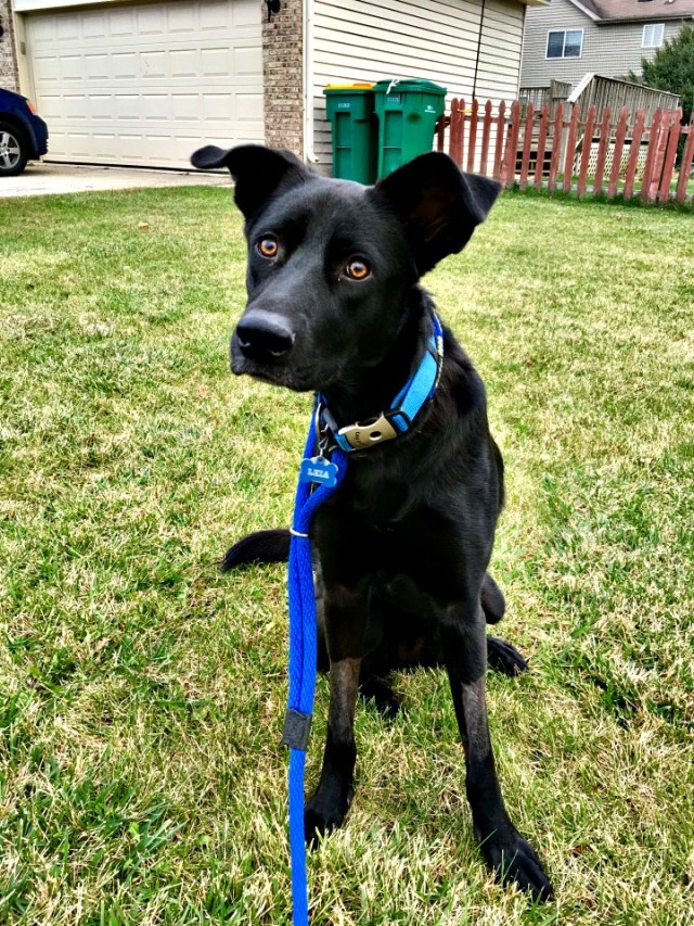 31044919542_493cd3a381_o